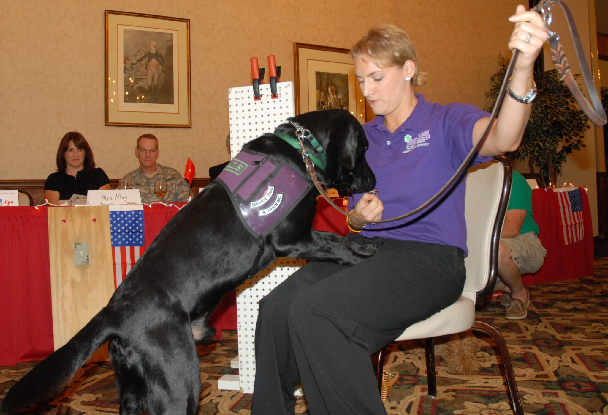 Emotional Support Animals vs. Service Dogs and Therapy Dogs