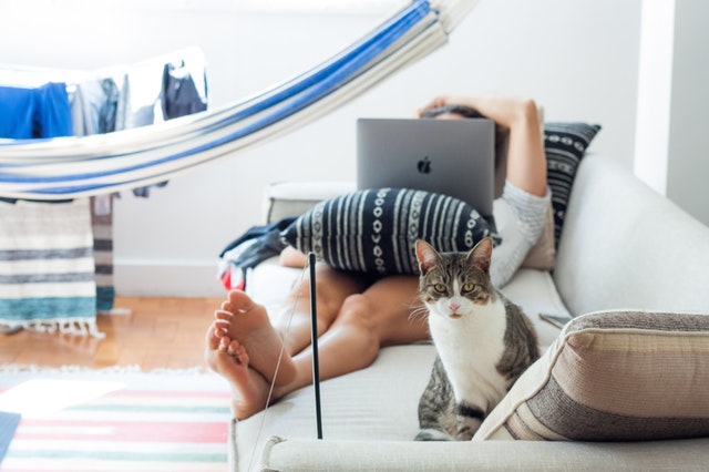 Email your ESA Letter to keep your Emotional Support Cat