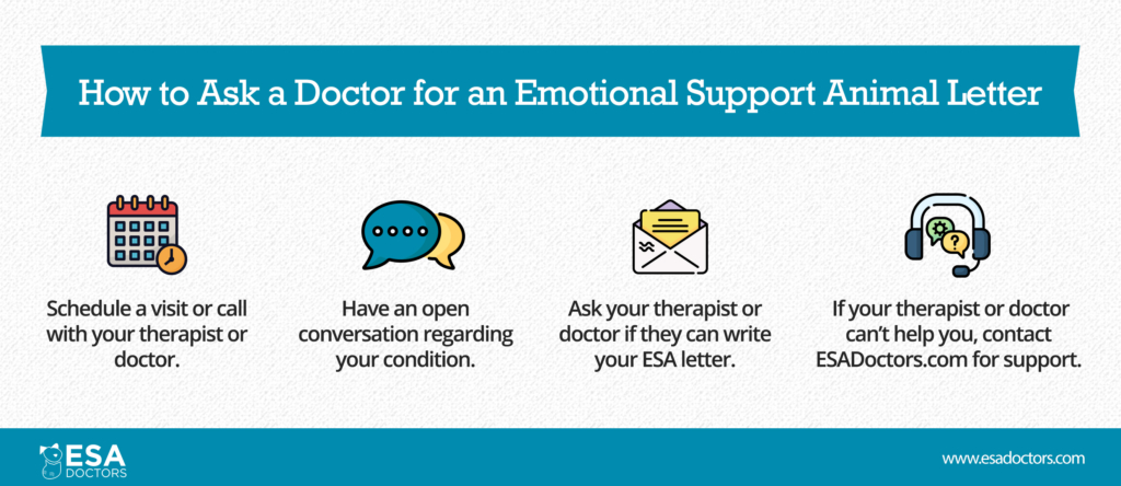 How to ask a doctor for an ESA Letter (infographic) - ESA Doctors
