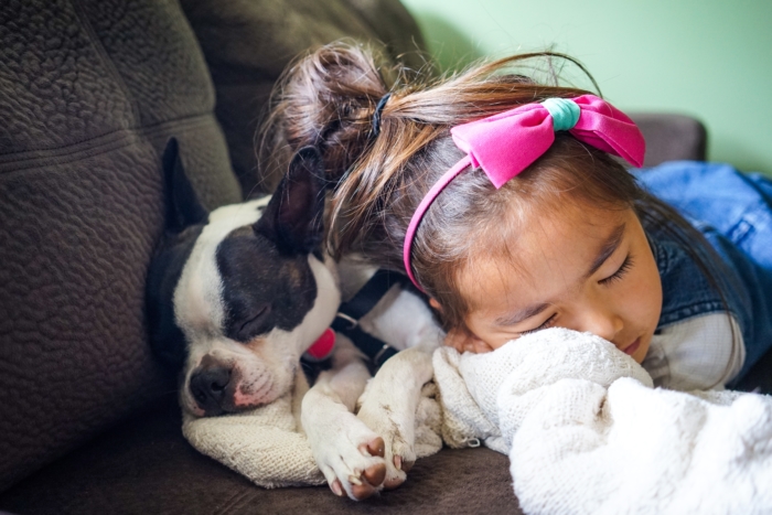 Dog sleeping with little girl