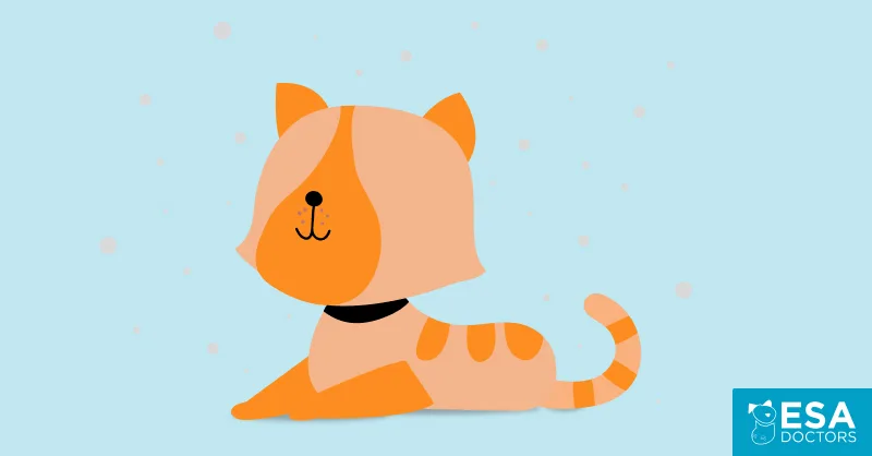 Can a landlord deny an Emotional Support Animal because of allergies?